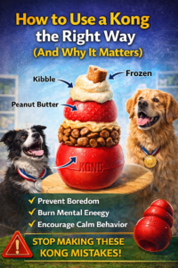 Kiss Dog Training Kansas City