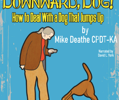 Dog Behavior Specialist in Kansas City