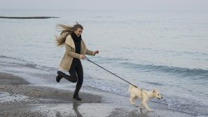 Dog on leash Kiss Dog Training