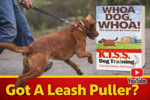 KISS Dog Training - Shawnee, KS