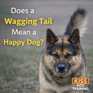 Kiss Dog Training Kansas City