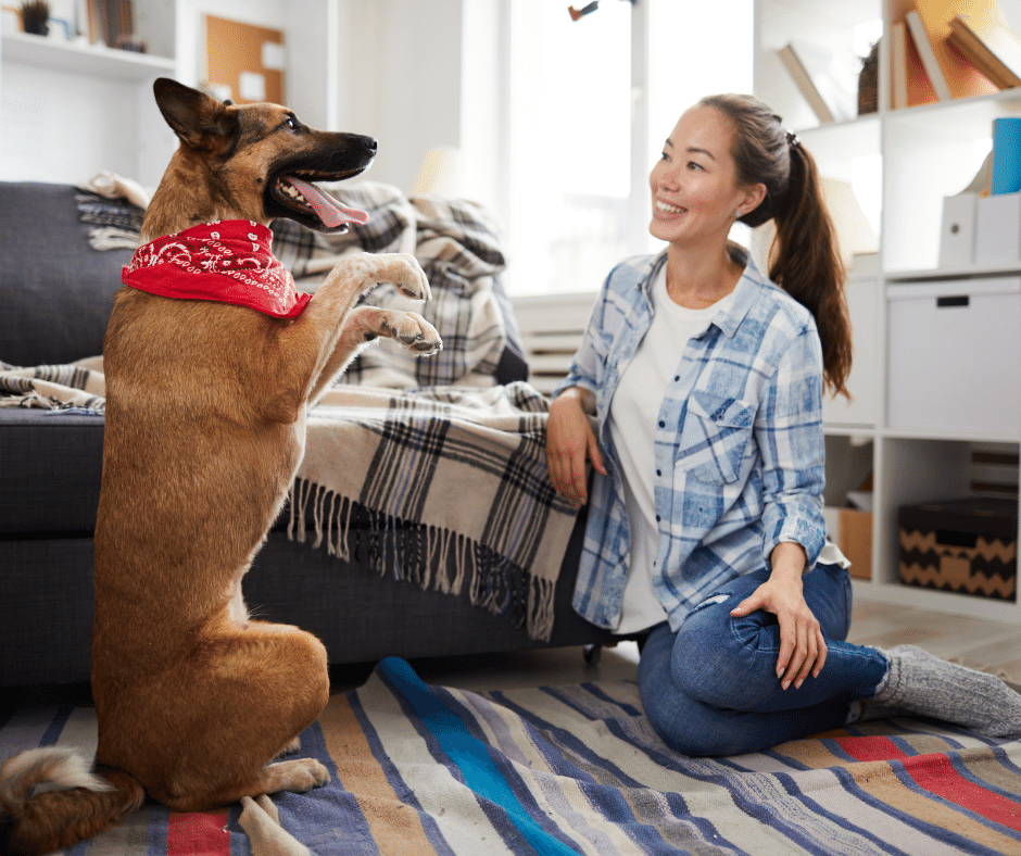 in-home-dog-training-kansas-city In Home Dog Training Kansas City