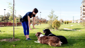 Kansas City Dog Trainer