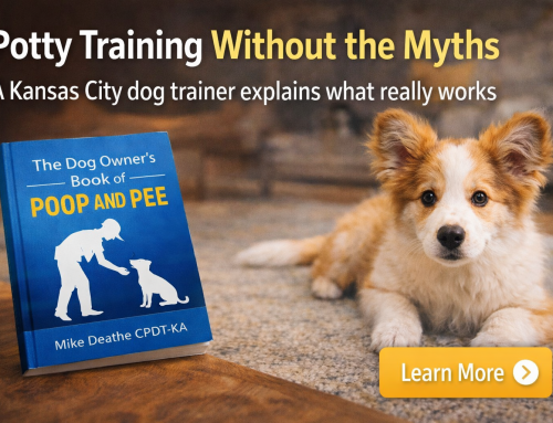 Potty Training Without the Myths | Dog & Puppy Training in Kansas City