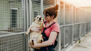 Aggressive Dog Training in Kansas City