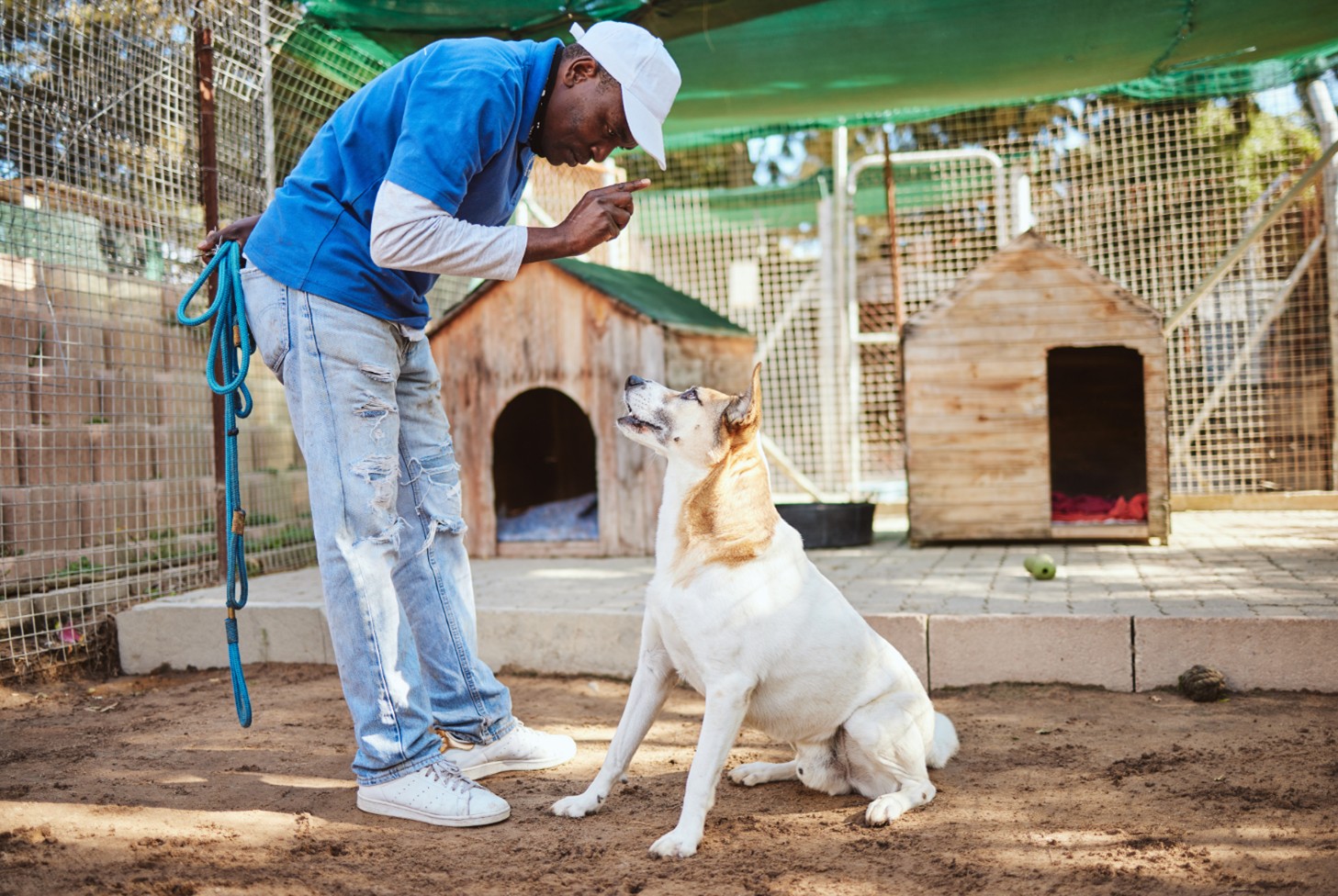 Dog Behavior Specialist