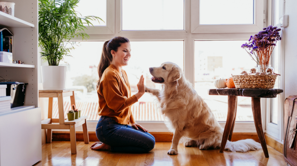 Shawnee Dog Behavior Specialist Shawnee Dog Behavior Specialist