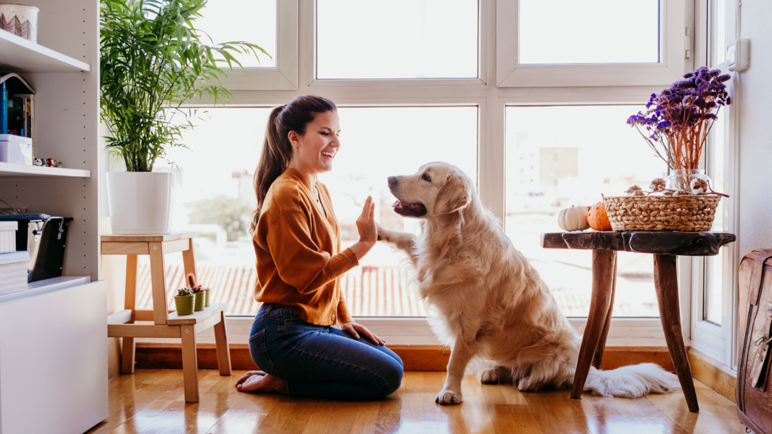 Shawnee Dog Behavior Specialist