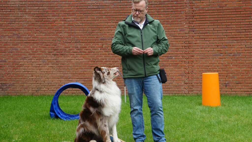 Picture4 Kansas City Dog Training