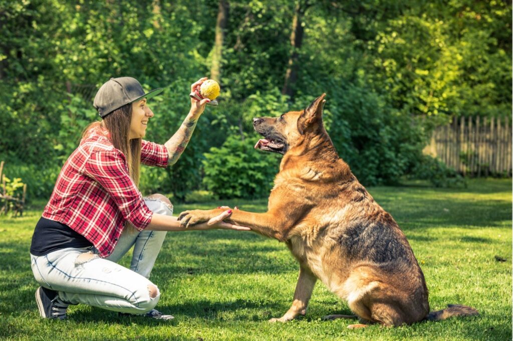 Kansas City Dog Trainer
