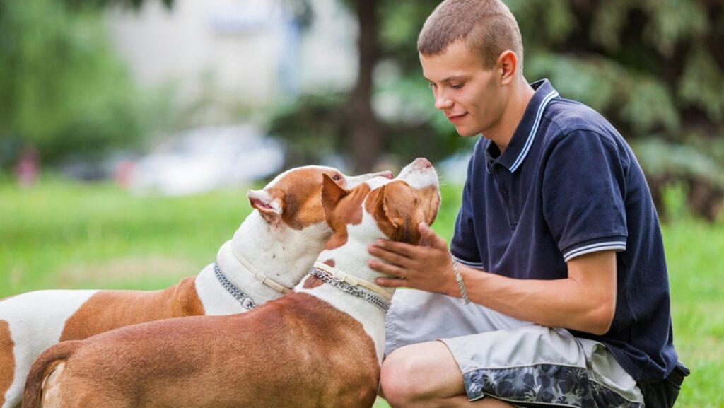 Kansas City Dog Training